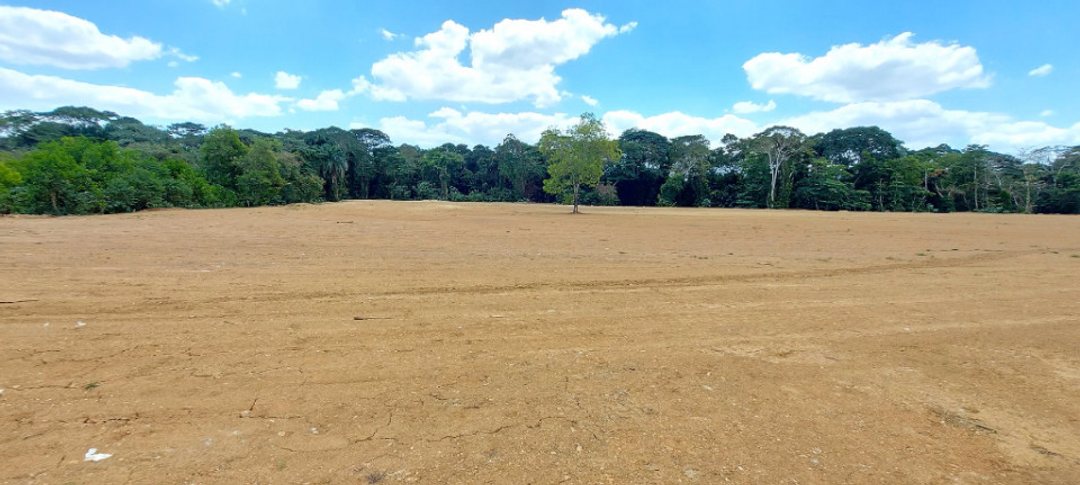Proyecto Solares o Terrenos en Venta