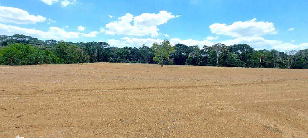 Proyecto Solares o Terrenos en Venta