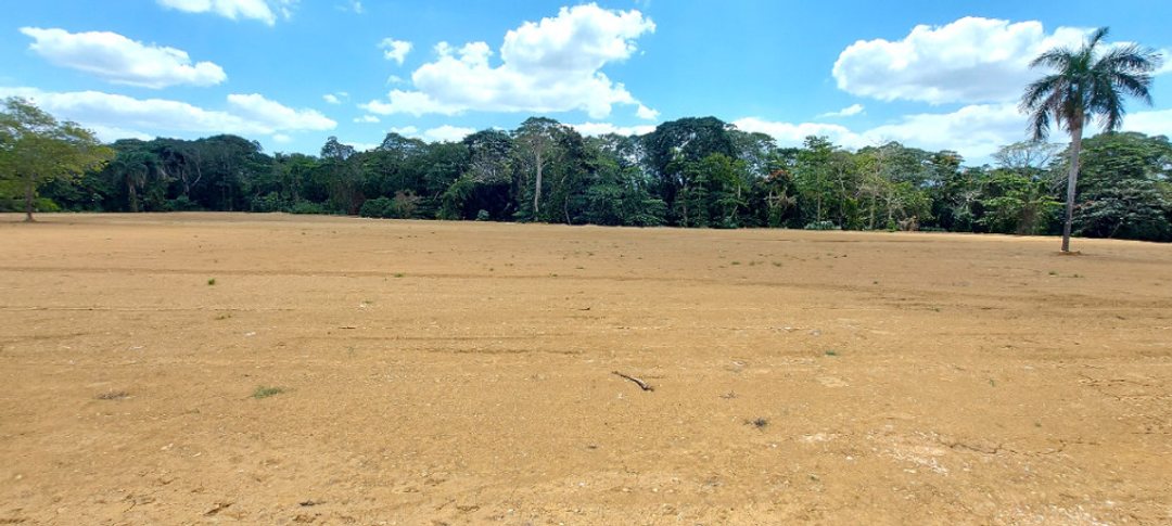 Proyecto Solares o Terrenos en Venta