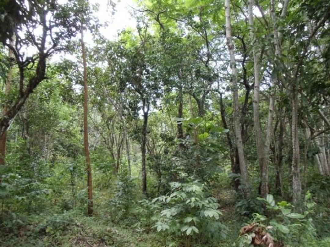 Terreno En Lomas Lindas, Santo Domingo De Guzmán