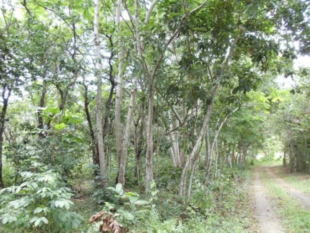 Terreno En Lomas Lindas, Santo Domingo De Guzmán