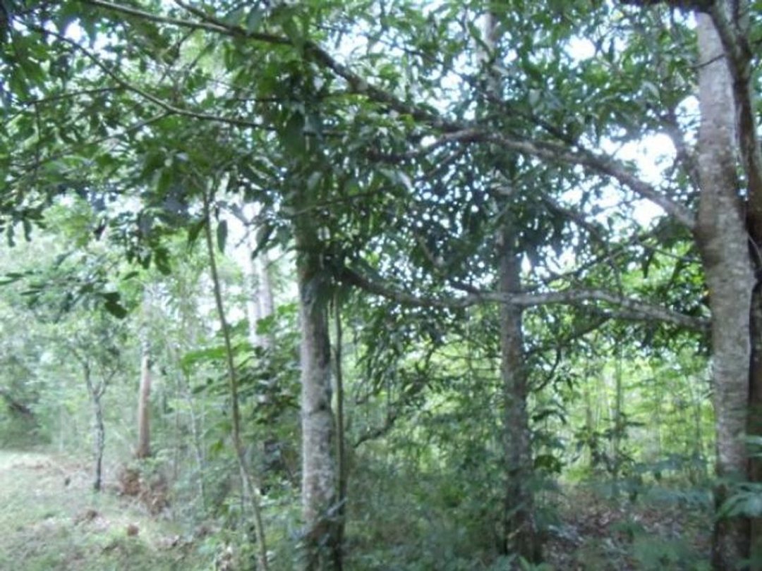 Terreno En Lomas Lindas, Santo Domingo De Guzmán