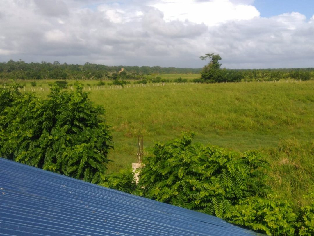 TERRENO EN VENTA 54238 M² UVERO ALTO HIGÜEY LA ALT