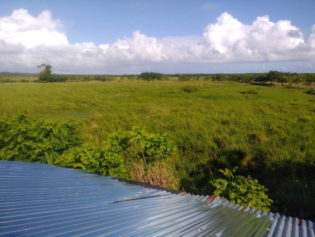 TERRENO EN VENTA 54238 M² UVERO ALTO HIGÜEY LA ALT