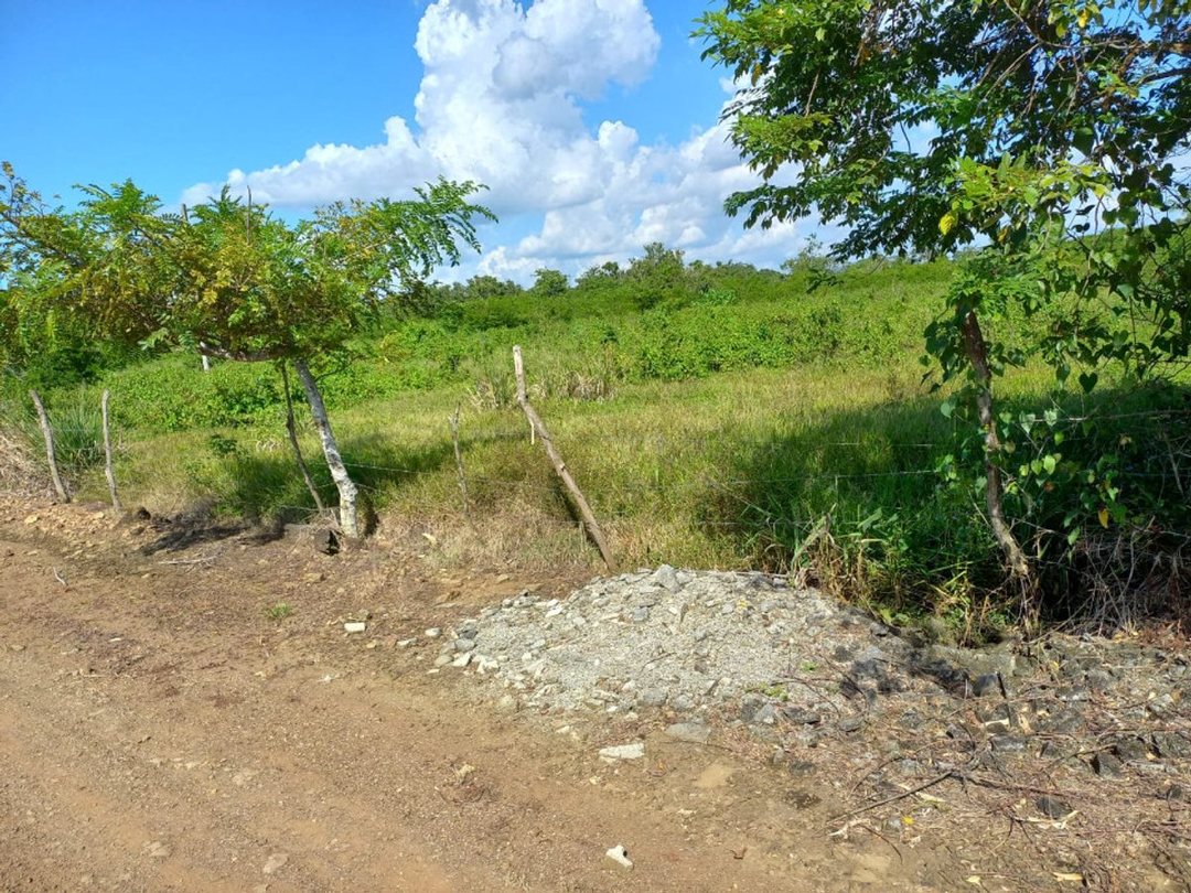 Terreno para naves por la Circunvalación-MERCA