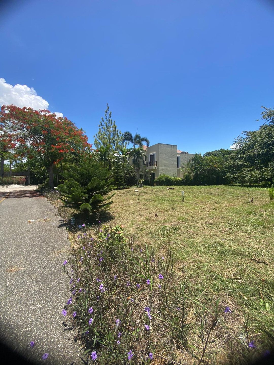 Terreno en venta en Guavaberry | 592.66 m²