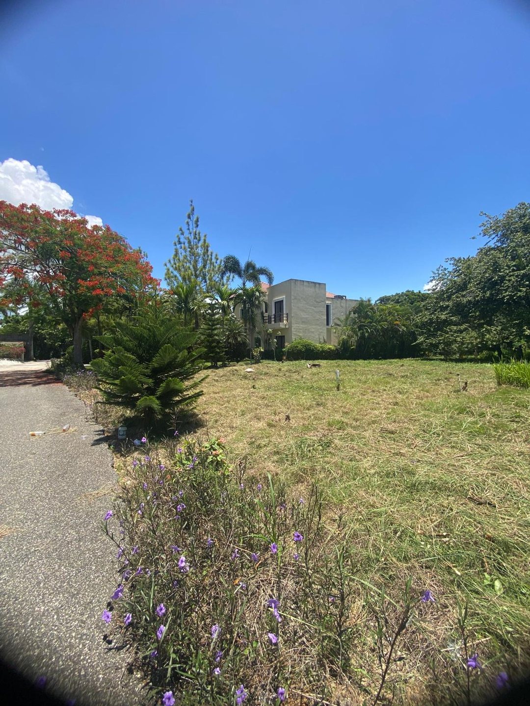 Terreno en venta en Guavaberry | 592.66 m²