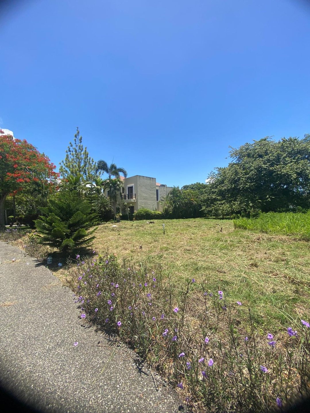 Terreno en venta en Guavaberry | 592.66 m²