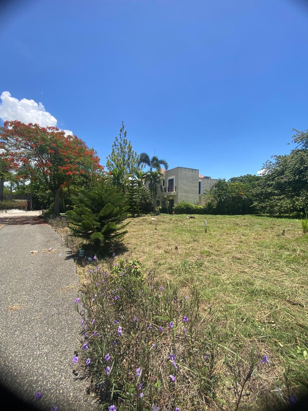 Terreno en venta en Guavaberry | 592.66 m²