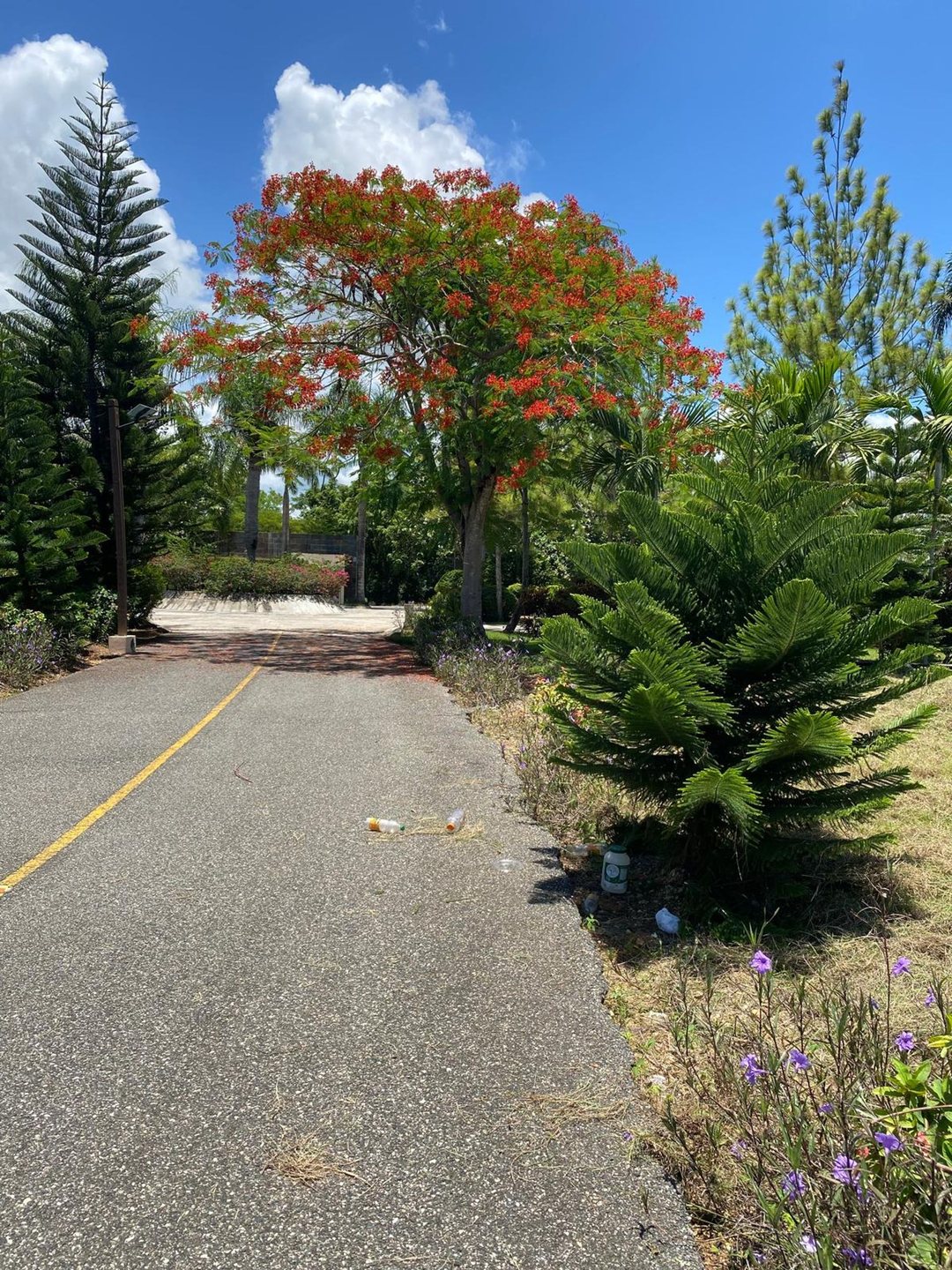 Terreno en venta en Guavaberry | 592.66 m²