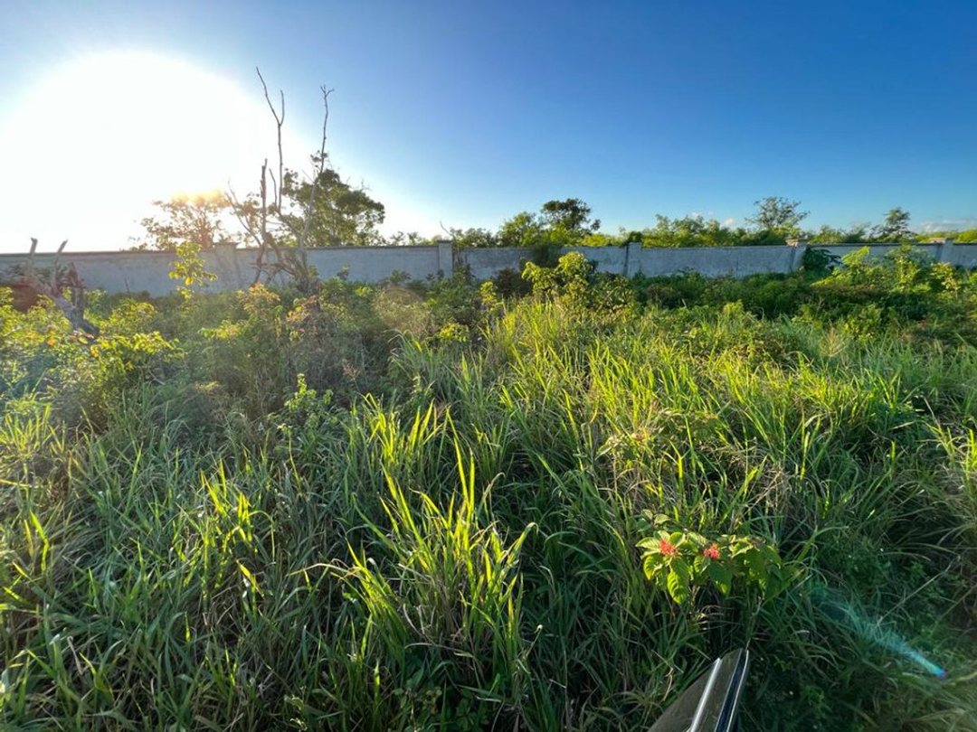 TERRENO EN RESIDENCIAL BAVARO PUNTA CANA