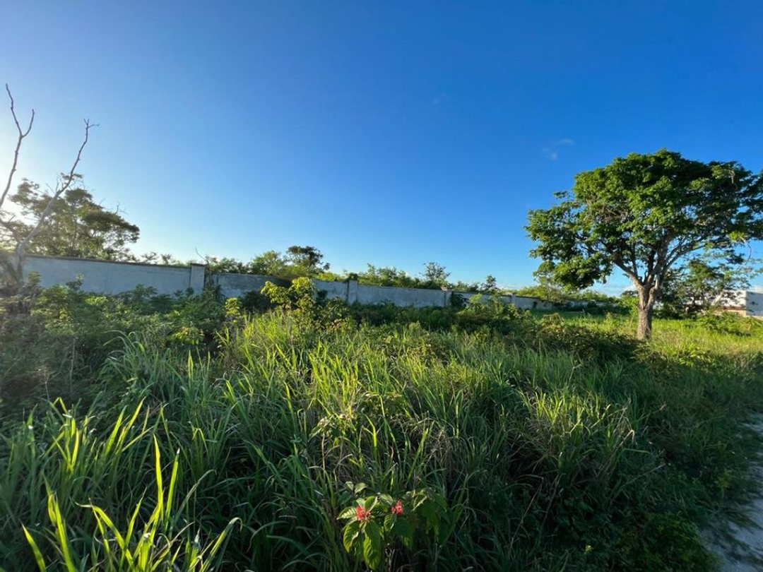 TERRENO EN RESIDENCIAL BAVARO PUNTA CANA