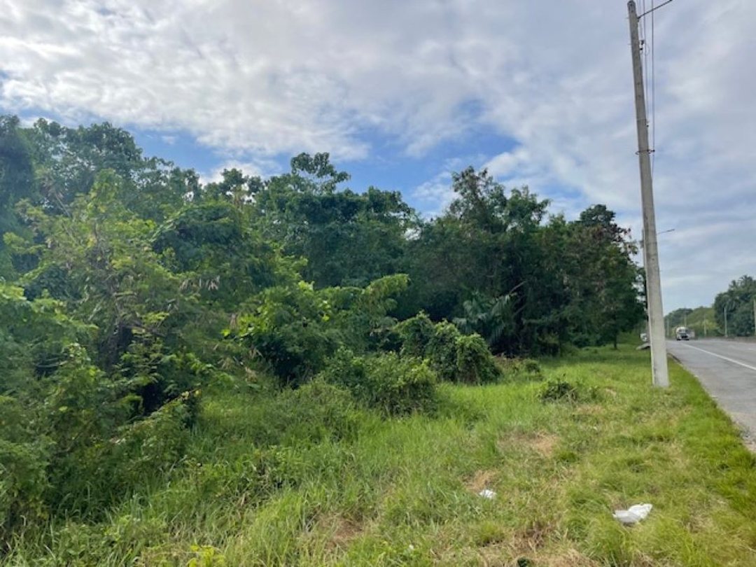 Terreno en El Pedregal, Avenida Circunvalación
