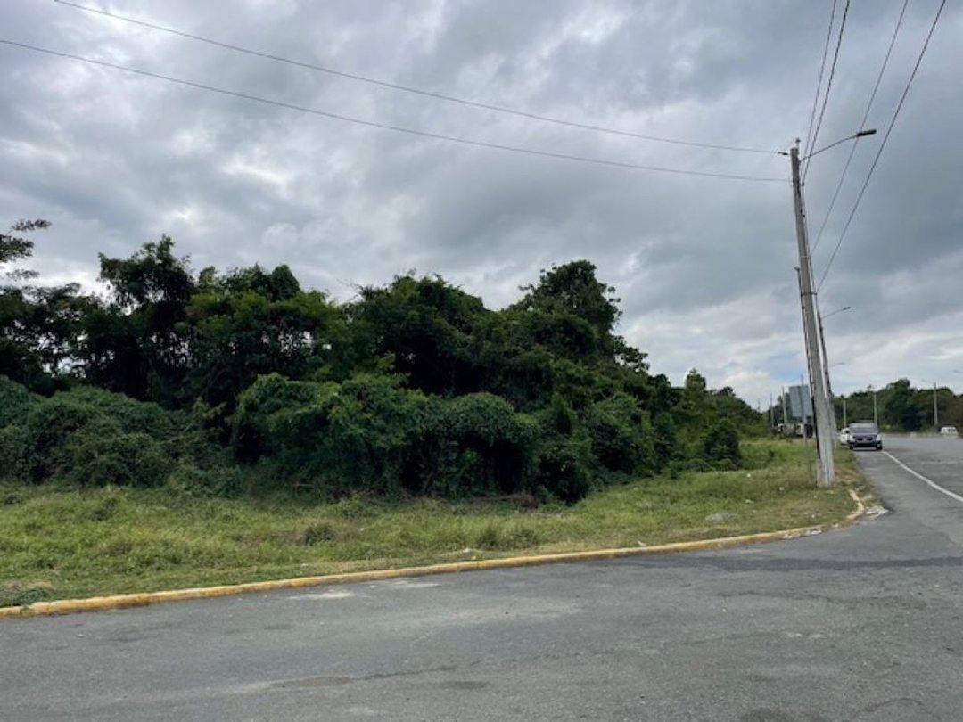 Terreno en El Pedregal, Avenida Circunvalación