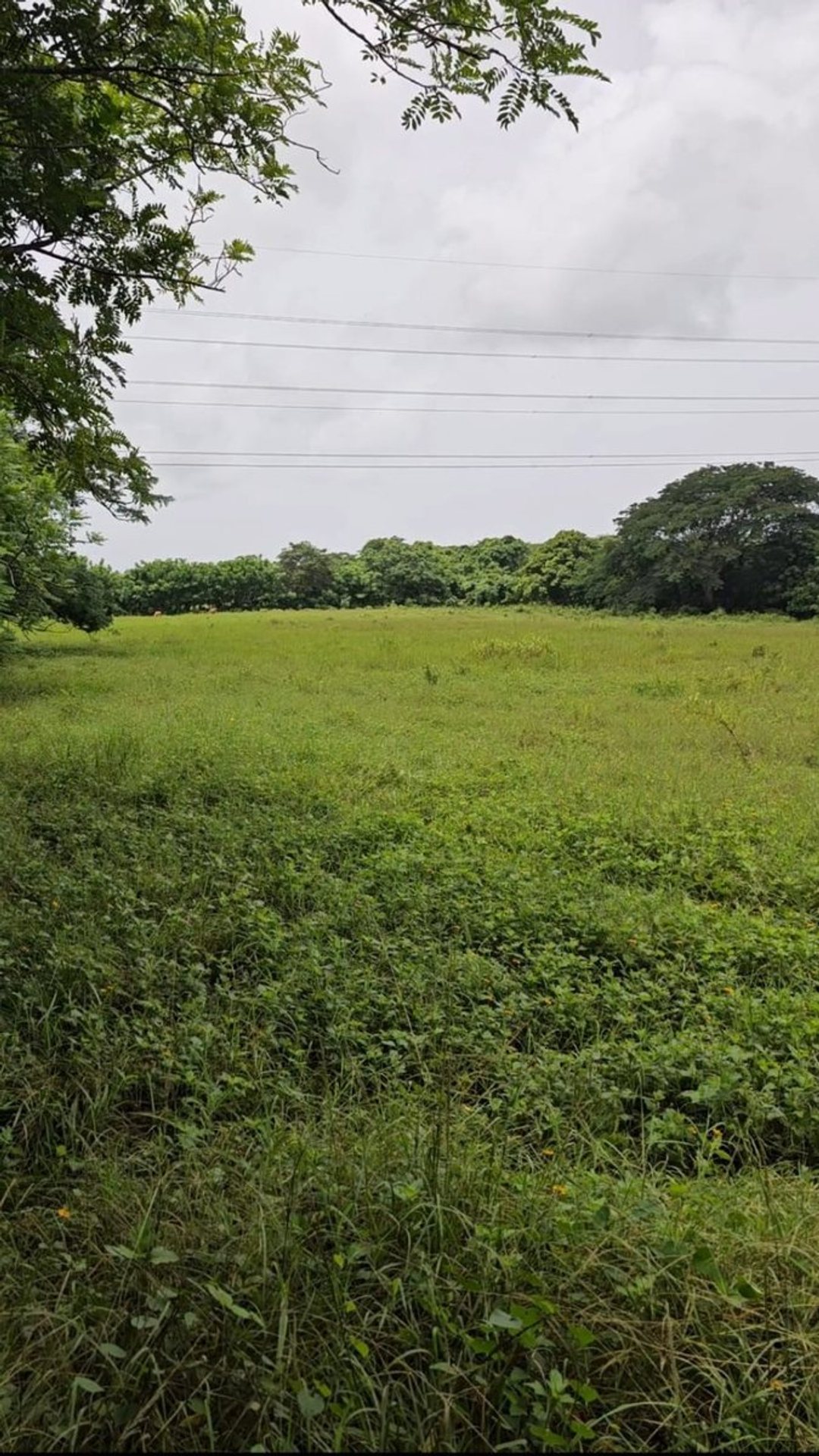 Terreno en San Antonio de Guerra, El Toro