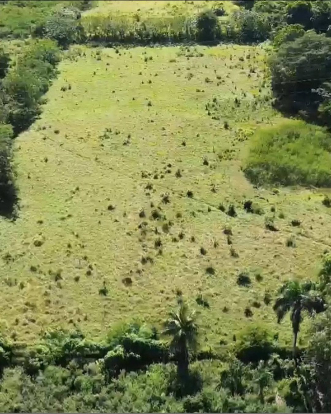 Terreno en San Antonio de Guerra, El Toro