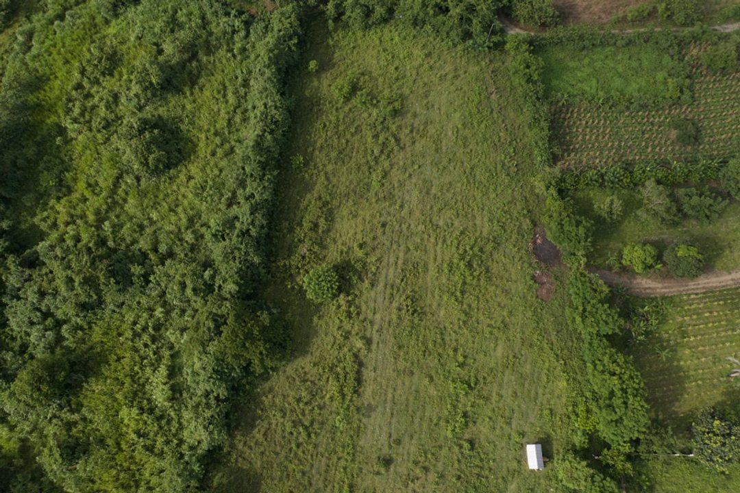 Terreno en Venta en Bonao