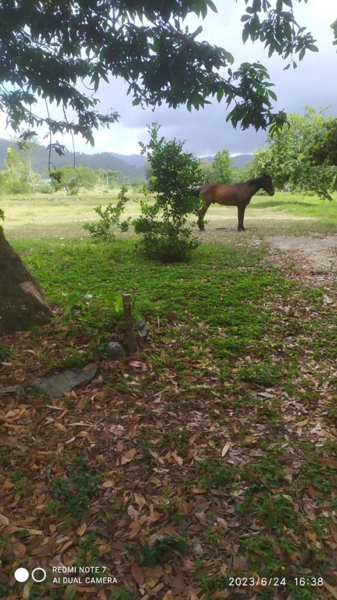 Terreno en Venta en La Vega