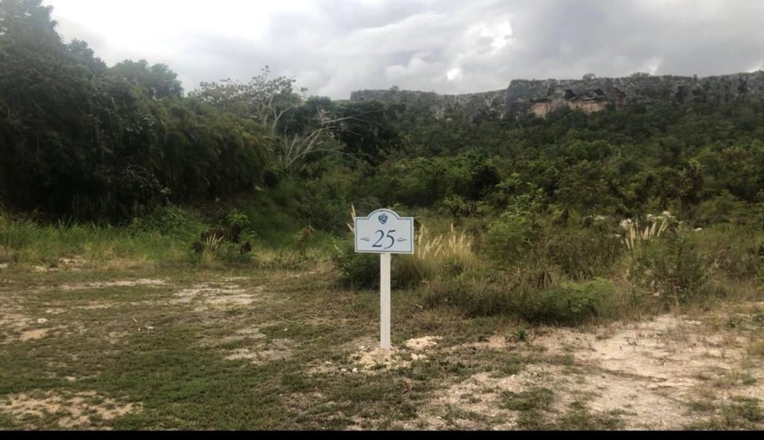 Terreno en Punta Cana, La Lagunas