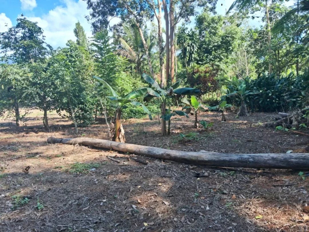 Vendo Villa Vacacional en Villa Altagracia