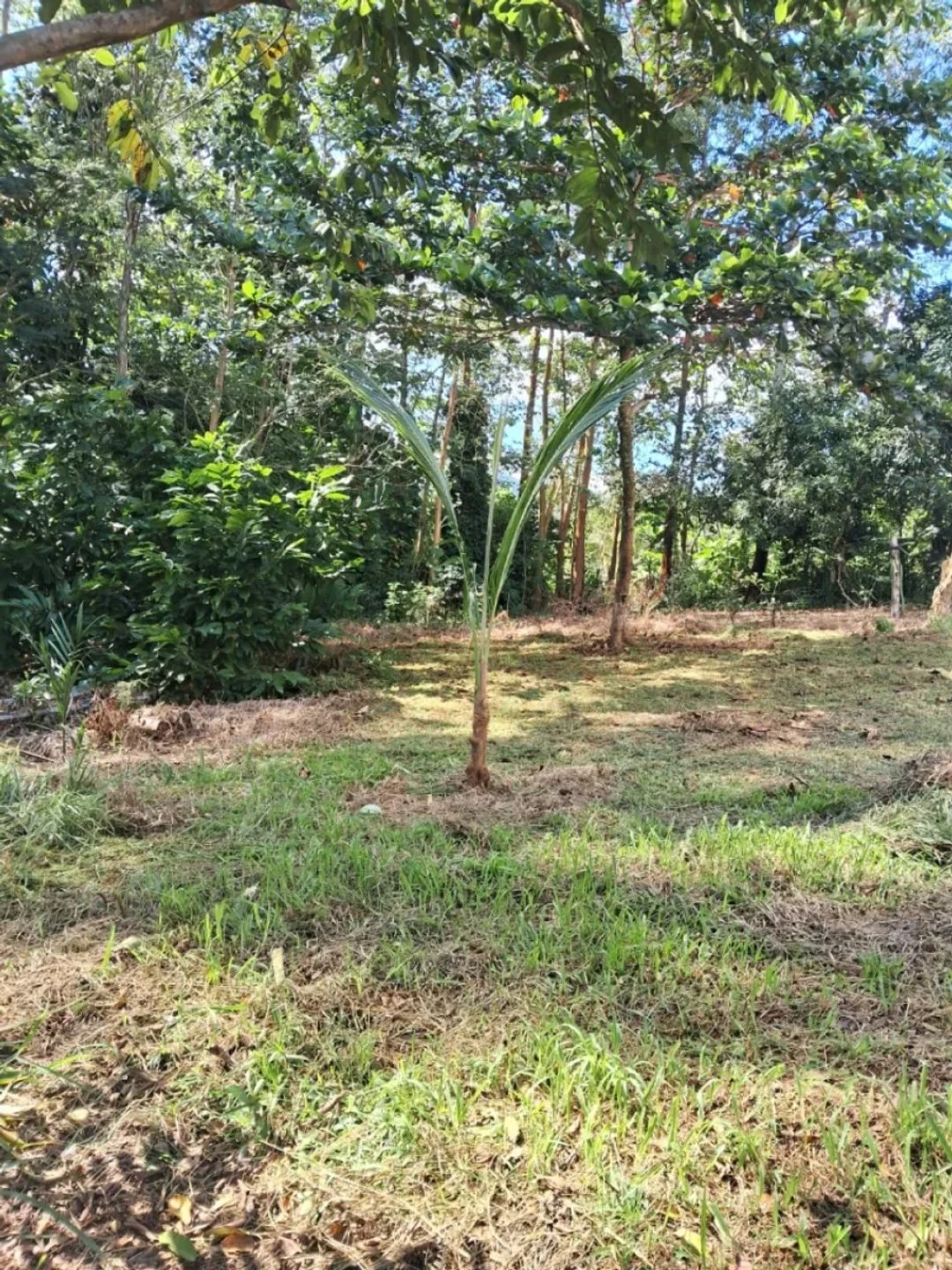 Vendo Villa Vacacional en Villa Altagracia