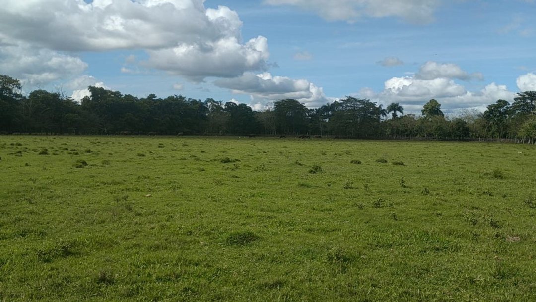 Terreno a Minutos de la Circunvalación