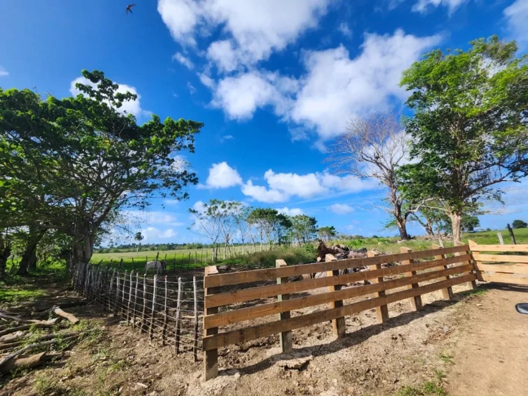 Terreno en Venta en El Macao, 11,319 m²