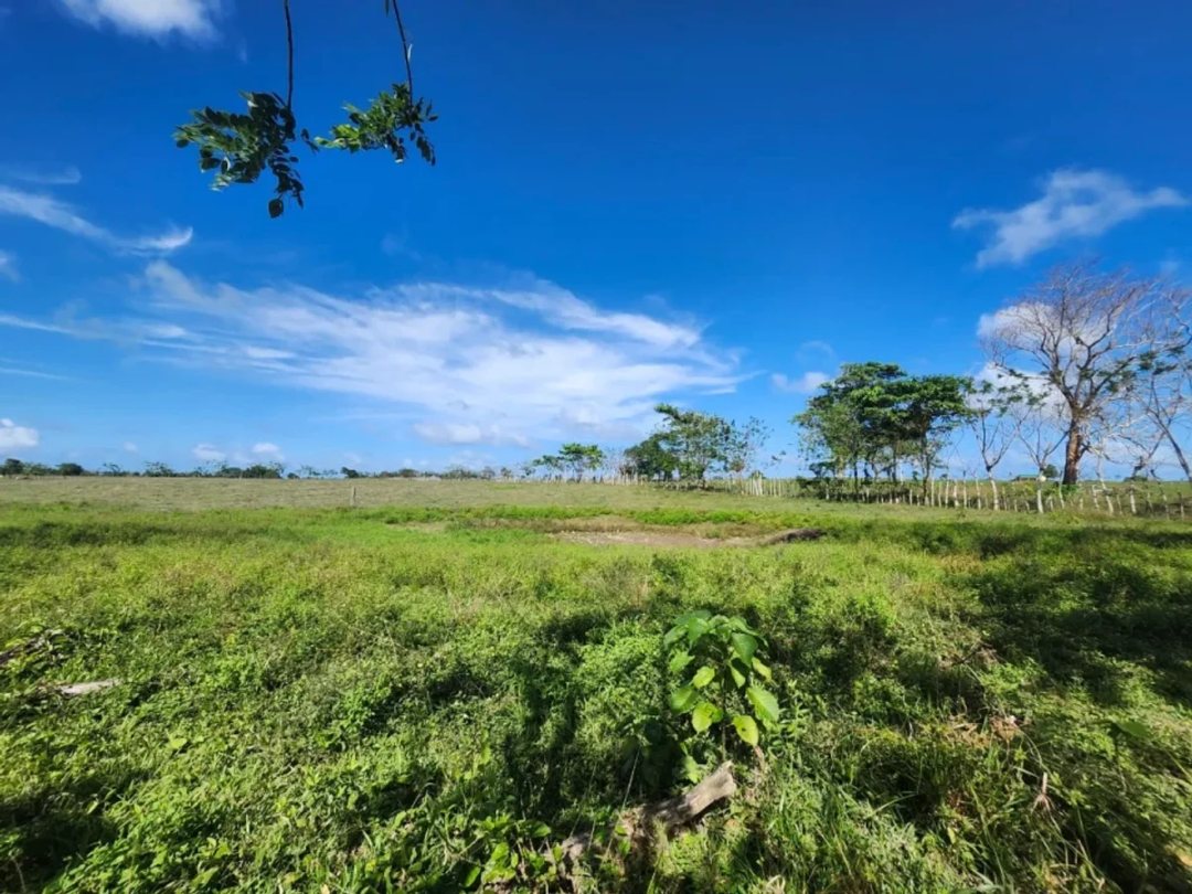 Terreno en Venta en El Macao, 11,319 m²