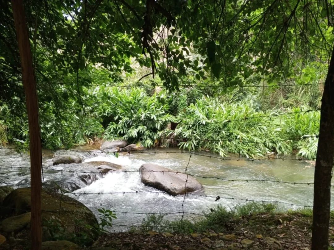 TERRENO EN VENTA MANABAO, JARABACOA