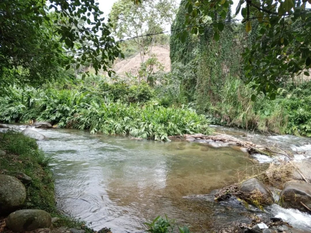 TERRENO EN VENTA MANABAO, JARABACOA