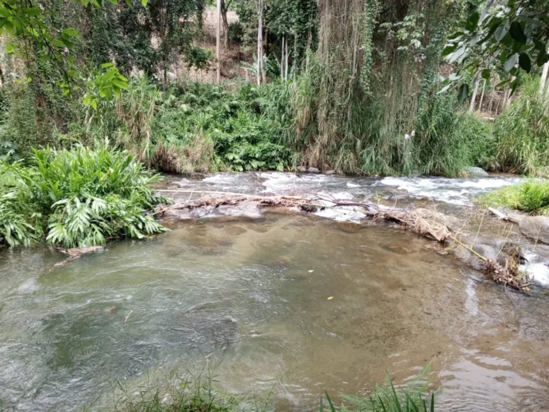 TERRENO EN VENTA MANABAO, JARABACOA