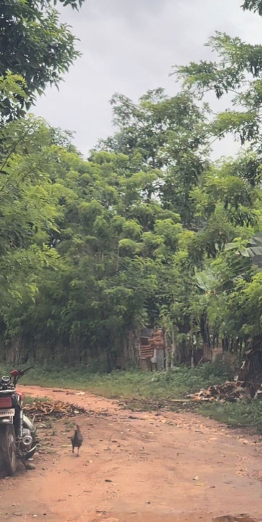 Terreno En Las Galeras, Samaná