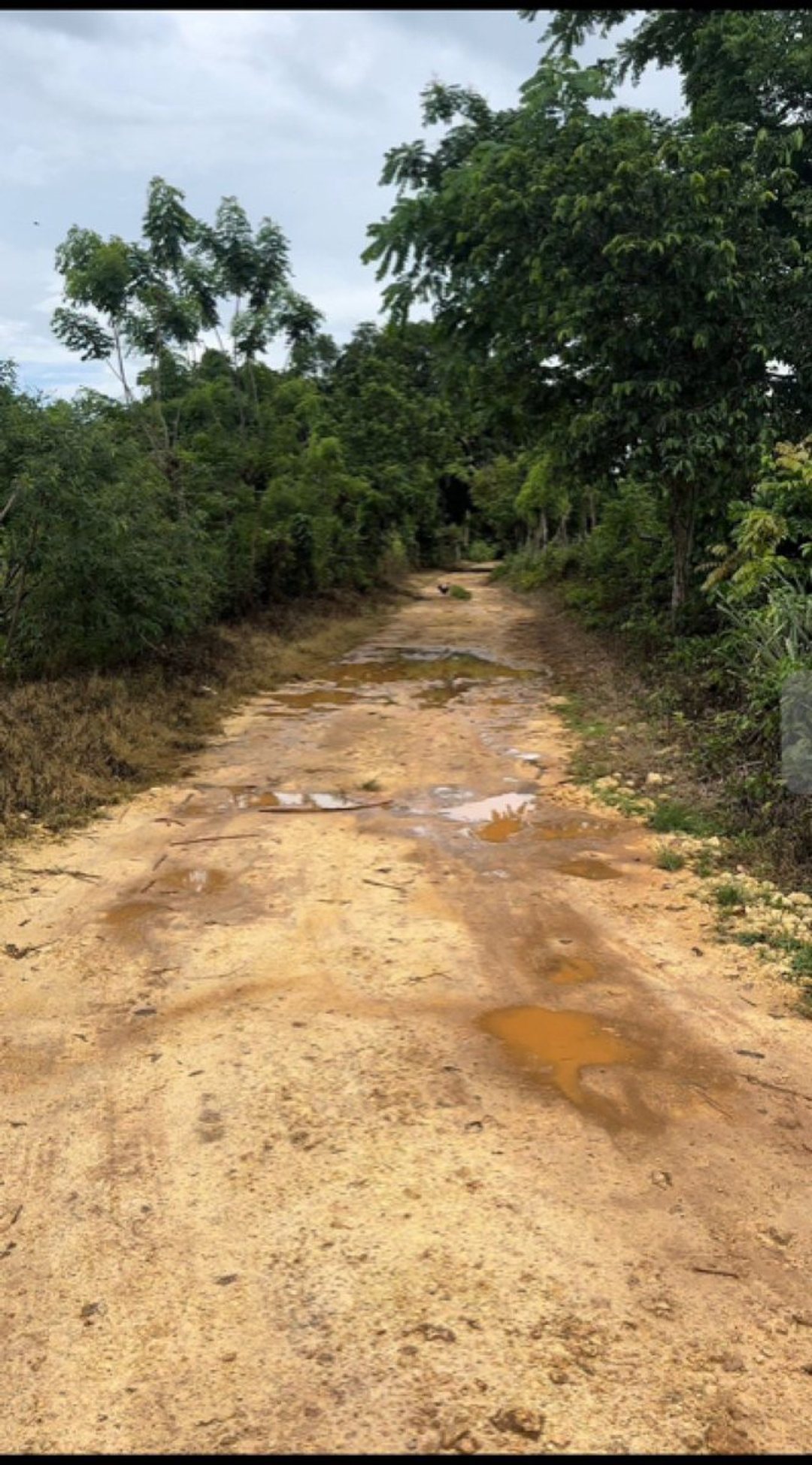 Terreno En Las Galeras, Samaná